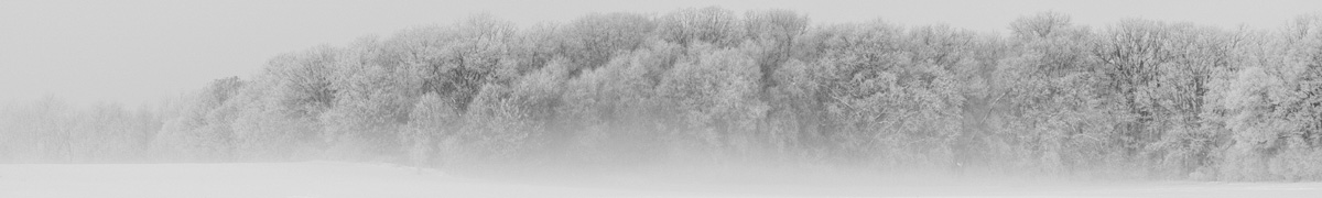 Lion Squares Germany e. V.